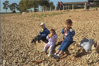 small_9400 0649 cew flowers fishing IMG0044.webp